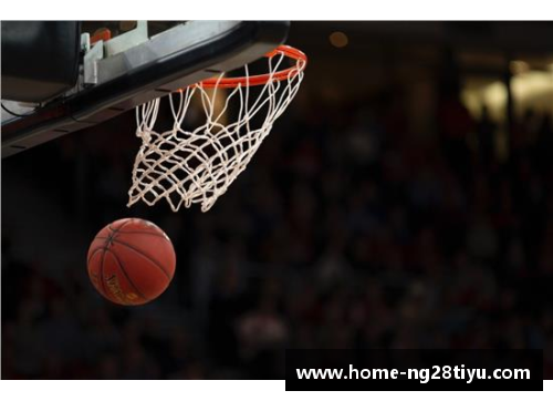 NBA比赛下载站点详细指南
